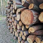 Lejlighed M&k Morska Fala, - Wyspa Sobieszewska *