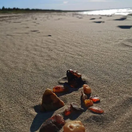 M&k Morska Fala, - Wyspa Sobieszewska Apartment