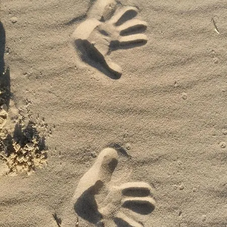 M&k Morska Fala, - Wyspa Sobieszewska * Gdansk