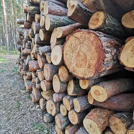 Apartmán M&k Morska Fala, - Wyspa Sobieszewska *