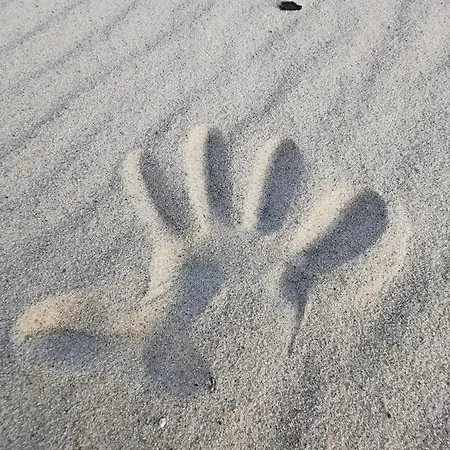 M&k Morska Fala, - Wyspa Sobieszewska Gdansk