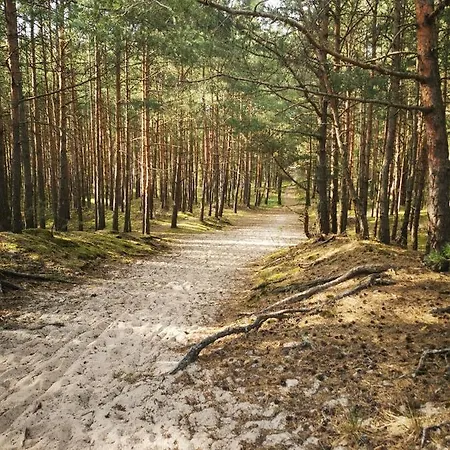 M&k Morska Fala, - Wyspa Sobieszewska Gdansk