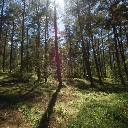 M&k Morska Fala, - Wyspa Sobieszewska *