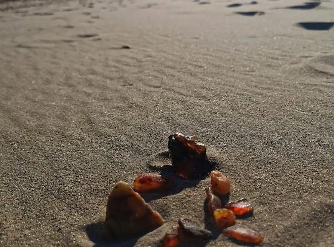 M&k Morska Fala, - Wyspa Sobieszewska Διαμέρισμα