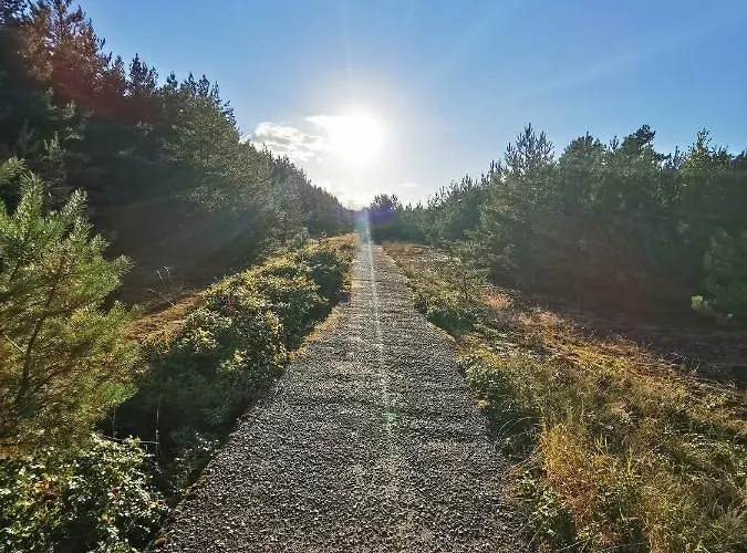 M&k Morska Fala, - Wyspa Sobieszewska Διαμέρισμα