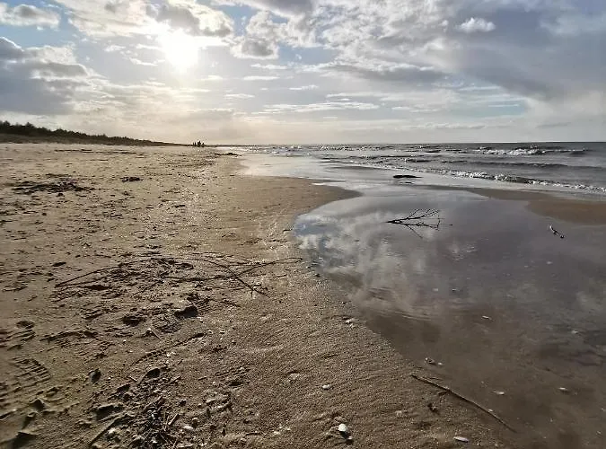 M&k Morska Fala, - Wyspa Sobieszewska Διαμέρισμα *