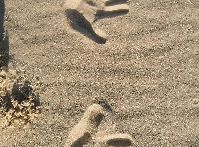 M&k Morska Fala, - Wyspa Sobieszewska * Gdańsk