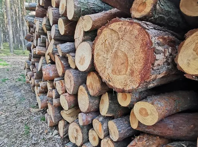 Lägenhet M&k Morska Fala, - Wyspa Sobieszewska *