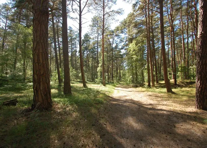 M&k Morska Fala, - Wyspa Sobieszewska Lägenhet Gdańsk