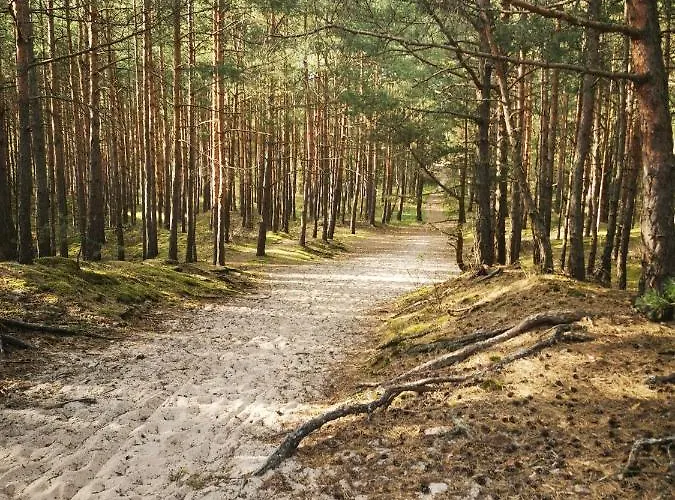 M&k Morska Fala, - Wyspa Sobieszewska Gdańsk