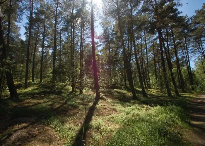 M&k Morska Fala, - Wyspa Sobieszewska *